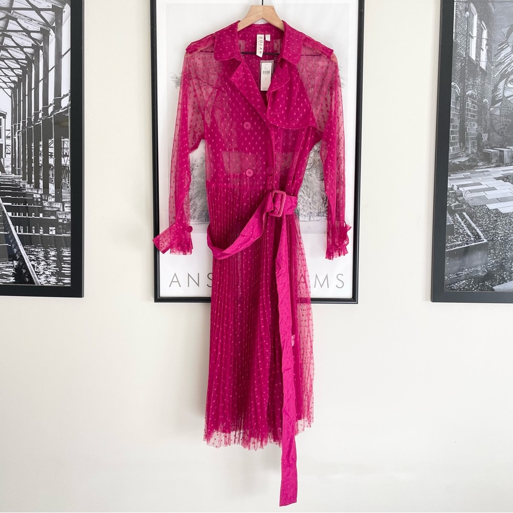 Anthropologie Fuchsia Sheer Dotted Trench Dress - Picture 6 of 16